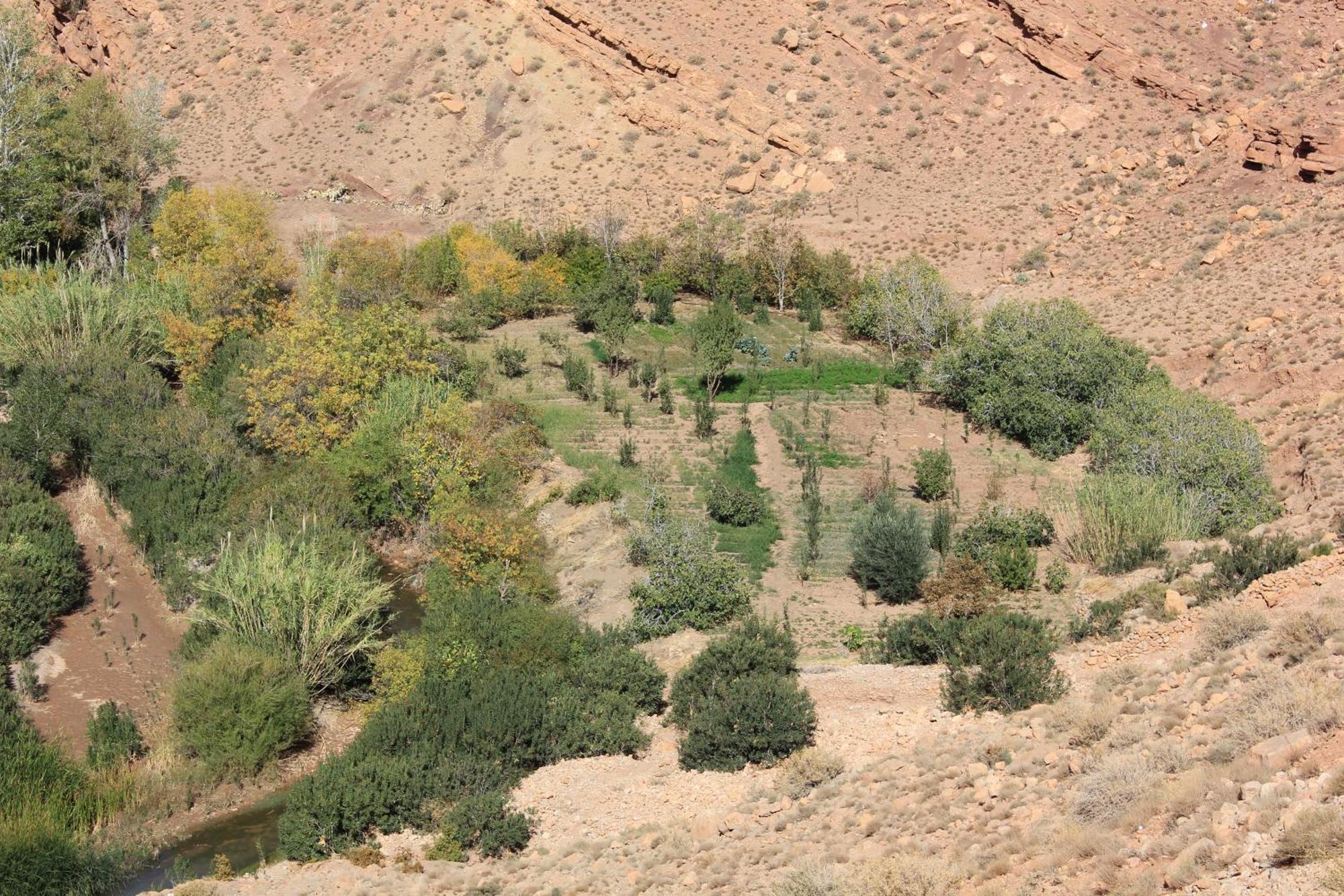 Kasbah Lucas Hostel Akhendachou n'Ait Ouffi Εξωτερικό φωτογραφία